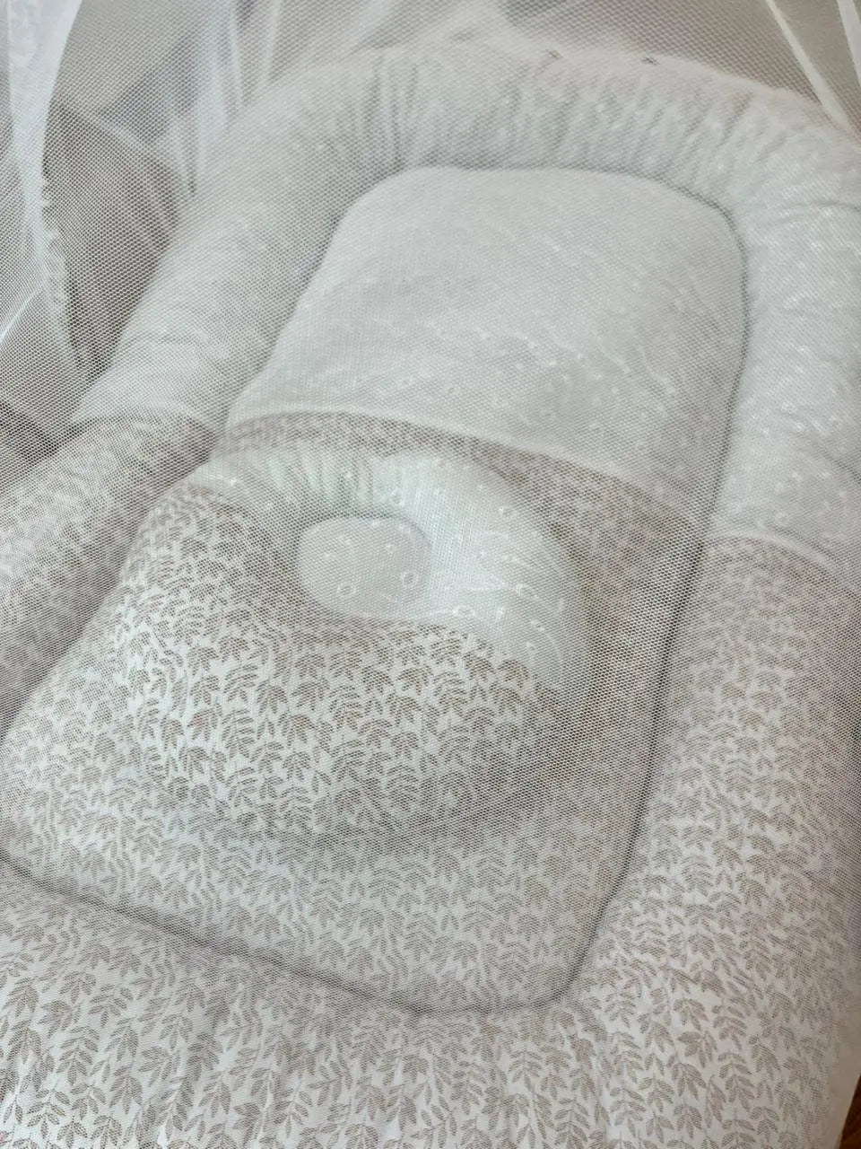 Baby Net Bed With Pillow | Brown leaves with white chicken